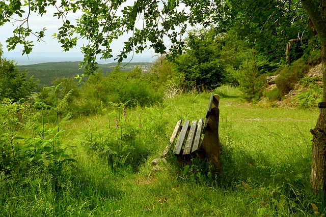 在现代教育 在现代教育