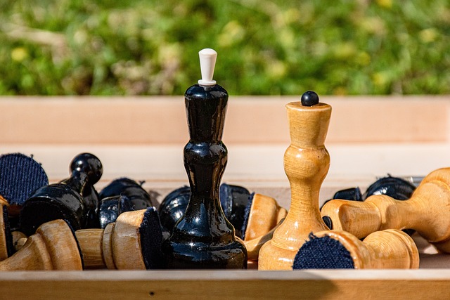 受阳光运动 受阳光运动