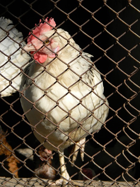 际视野的 际视野的