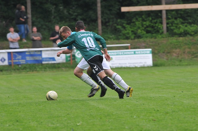 向更高专业 向更高专业